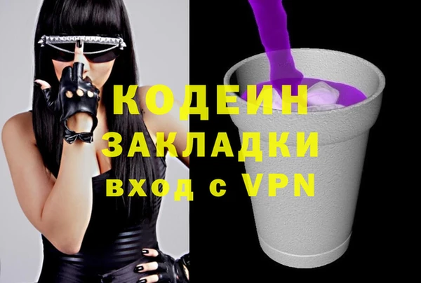 шишки Верея