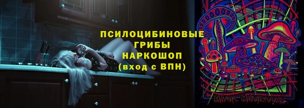шишки Верея