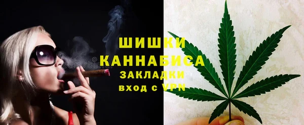 крисы Верхний Тагил
