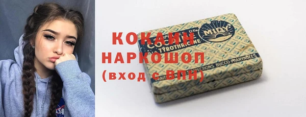 крисы Верхний Тагил