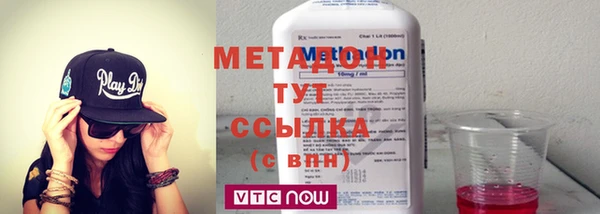 шишки Верея