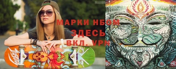 шишки Верея