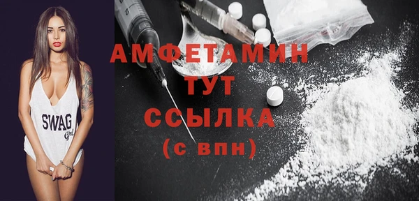 шишки Верея