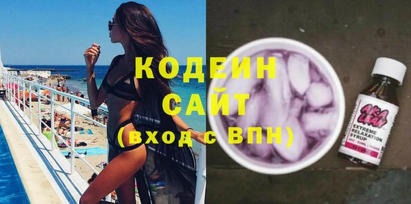 шишки Верея