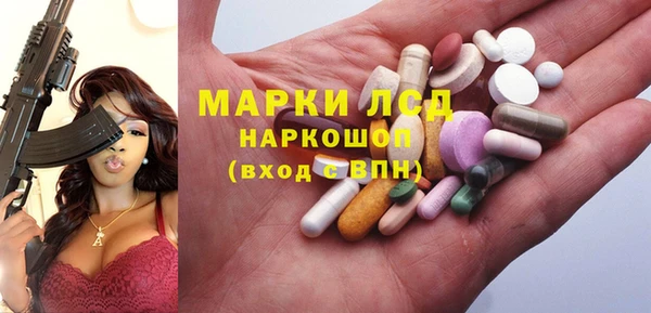 шишки Верея