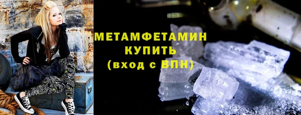шишки Верея