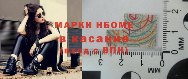 шишки Верея