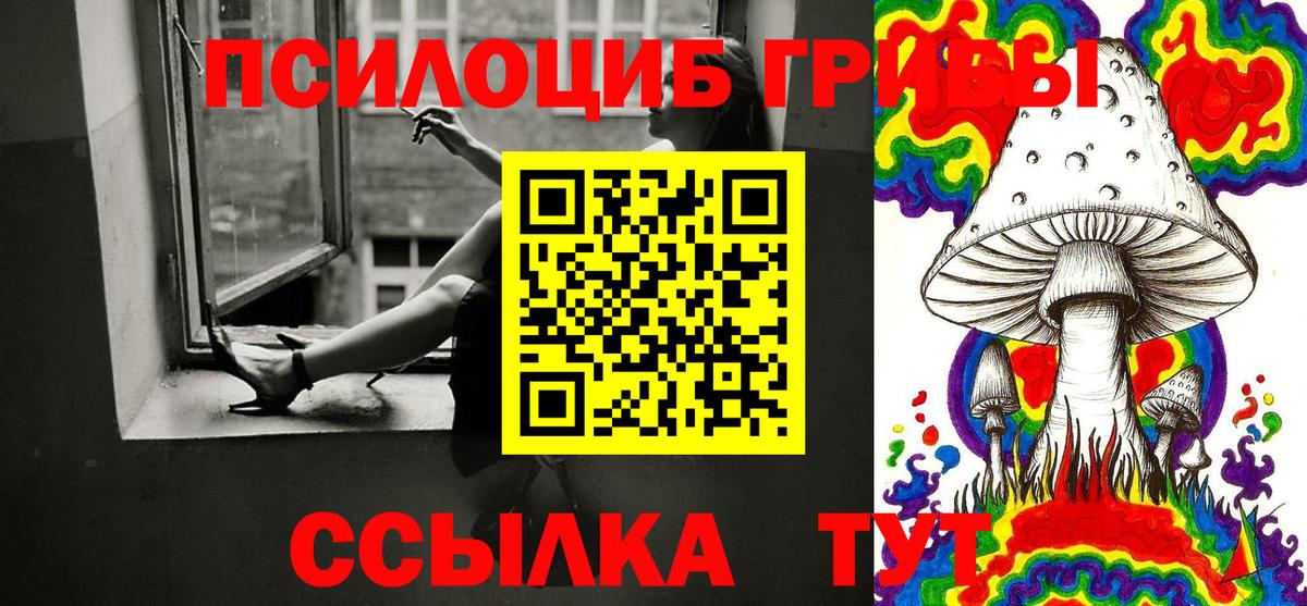 купить  сайты  Галлюциногенные грибы Cubensis  Вход с VPN  Ноябрьск 